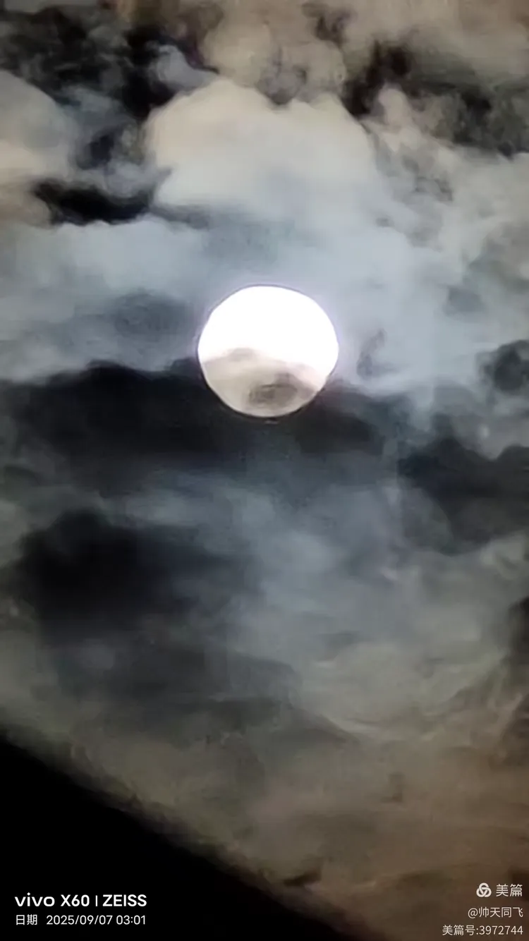 云遮月 《手机版》